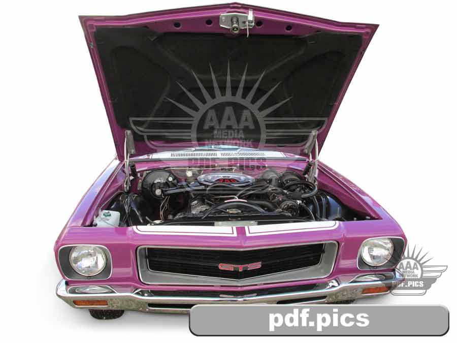 HQ Holden Coupe Front View