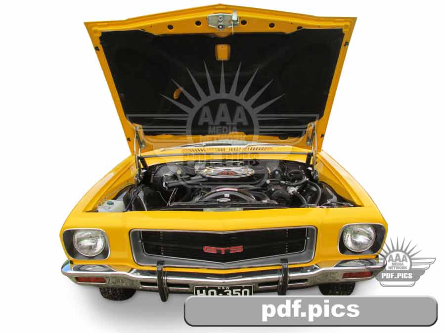 HQ Holden Coupe Front View