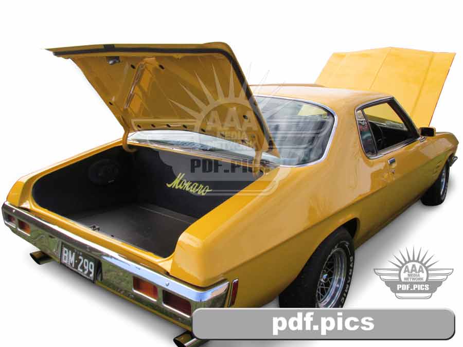 HQ Monaro Coupe Rear Drivers Side View