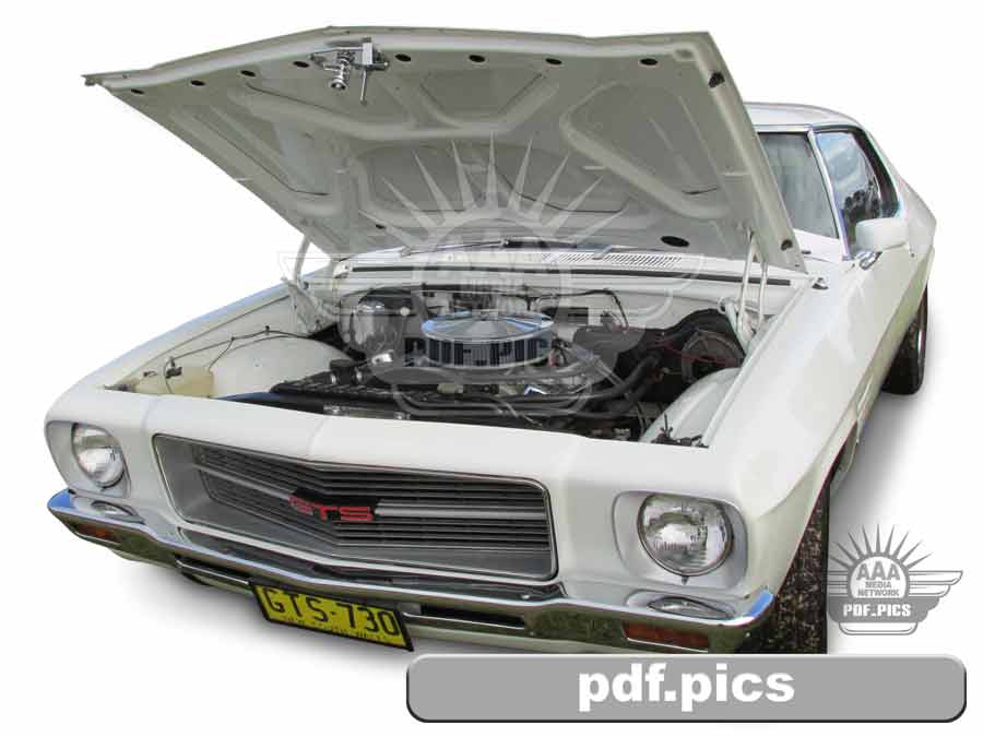 HQ Monaro Coupe Front Passenger Side View