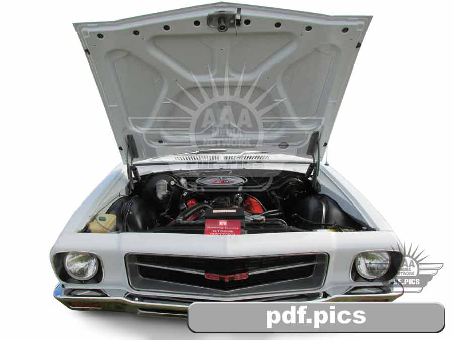 HQ Holden Ute Front View