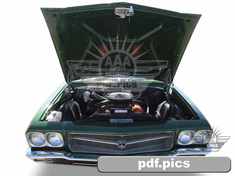 HQ Holden Coupe Front View