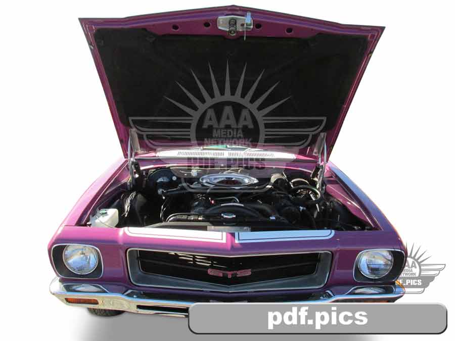 HQ Holden Coupe Front View