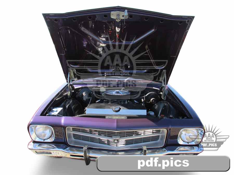 HQ Holden Coupe Front View
