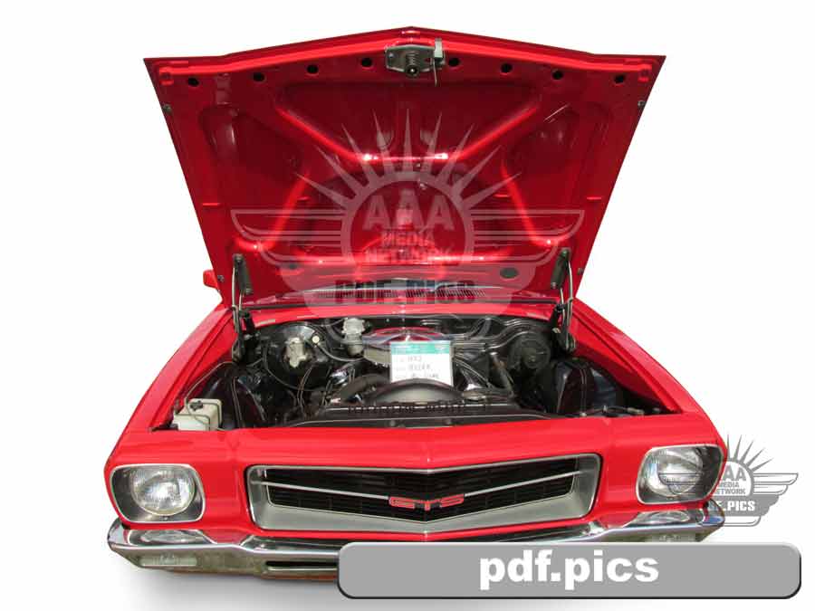 HQ Holden Coupe Front View