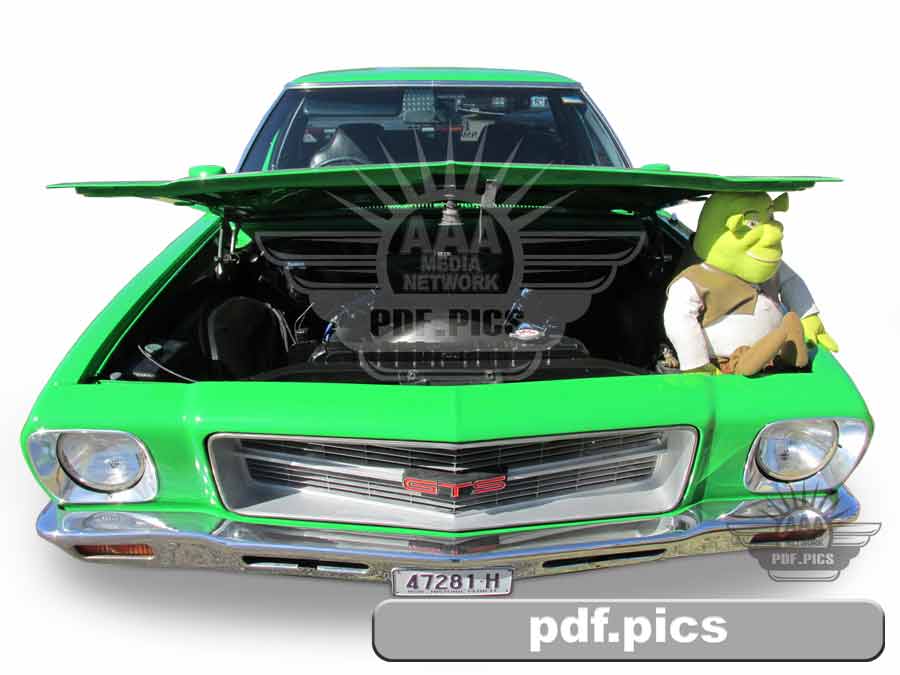 HQ Holden Ute Front View