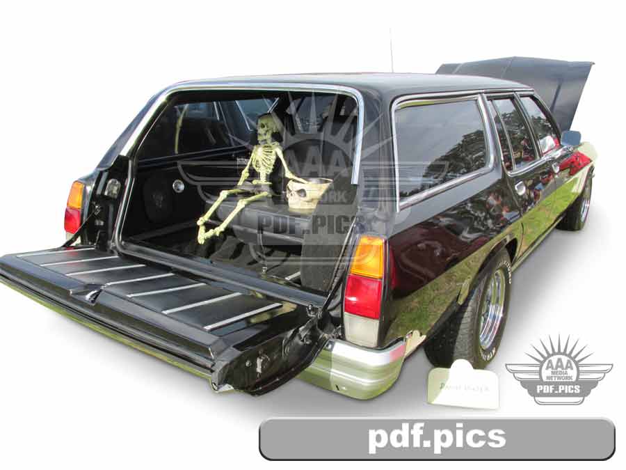 HQ Holden Station Wagon Rear Drivers Side View