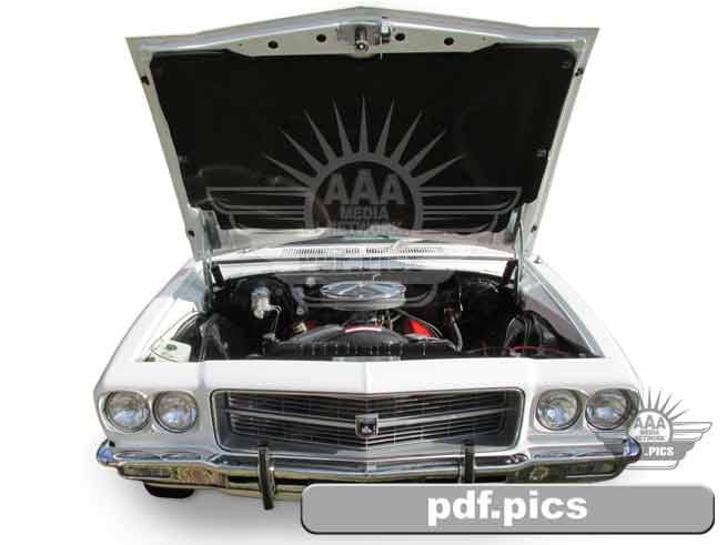HQ Holden Coupe Front View