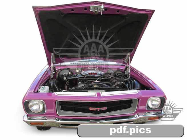 HQ Holden Coupe Front View