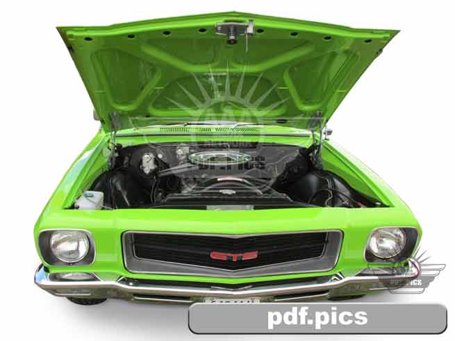 HQ Holden Coupe Front View