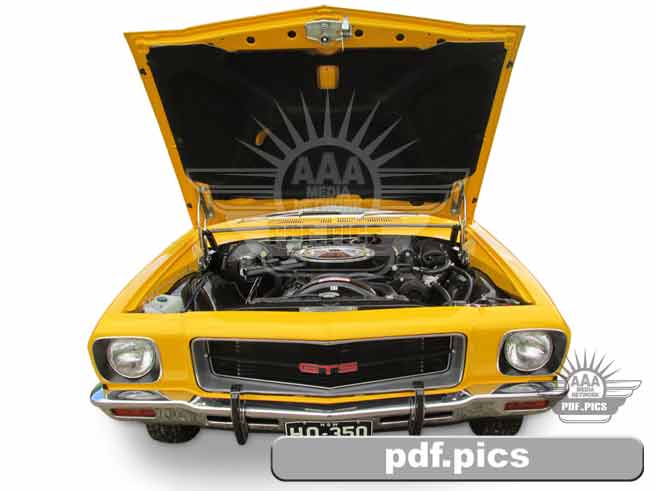 HQ Holden Coupe Front View