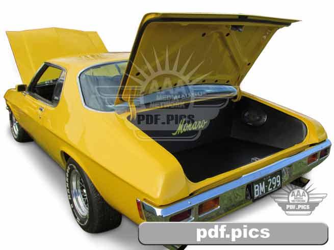 HQ Monaro Coupe Rear Passenger Side View