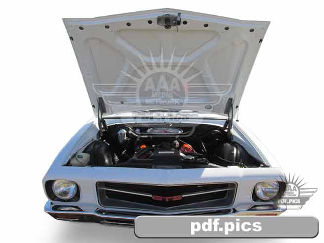 HQ Holden Ute Front View