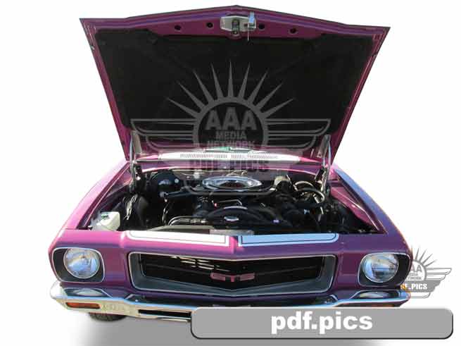 HQ Holden Coupe Front View