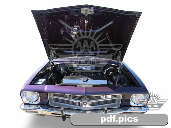 HQ Holden Coupe Front View