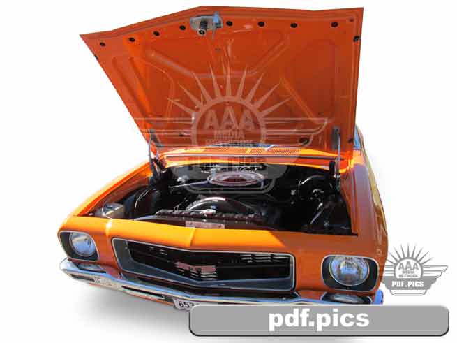 HQ Holden Coupe Front View
