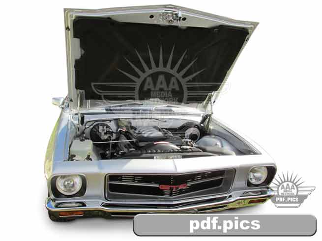 HQ Holden Coupe Front View