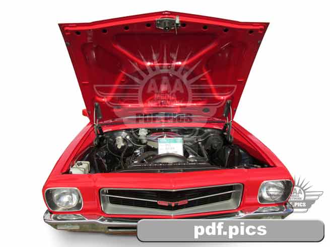 HQ Holden Coupe Front View