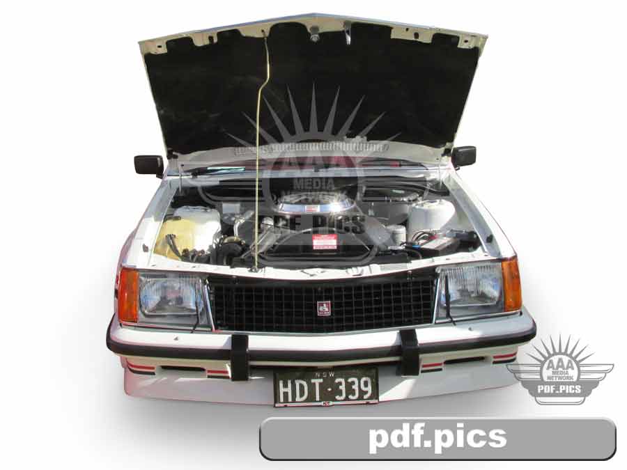 VC Commodore Sedan Front View