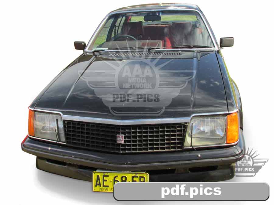 VC Commodore Station Wagon Front View