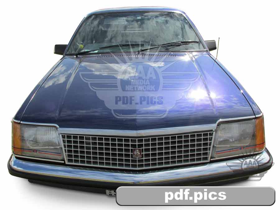 VC Commodore Sedan Front View