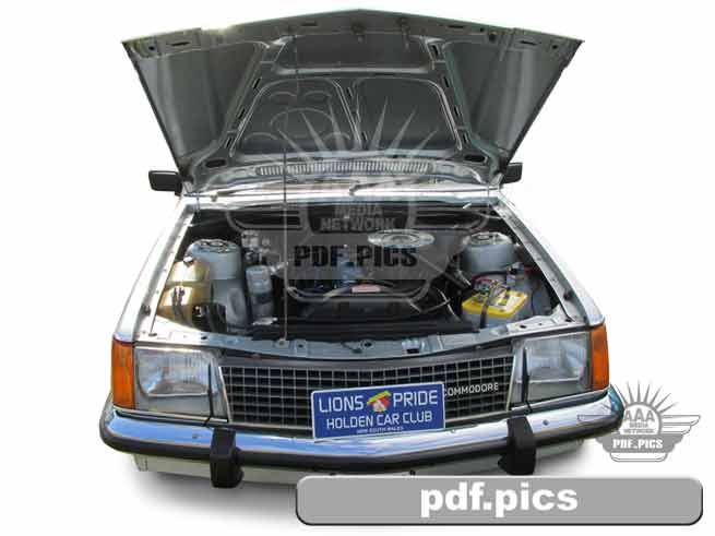 VC Commodore Sedan Front View