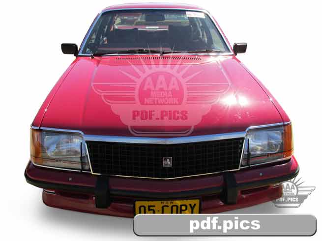 VC Commodore Sedan Front View