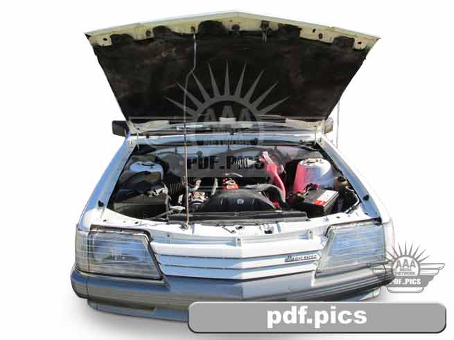 VK Commodore Station Wagon Front View