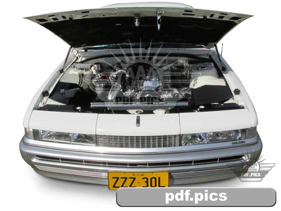 VL Commodore Sedan Front View