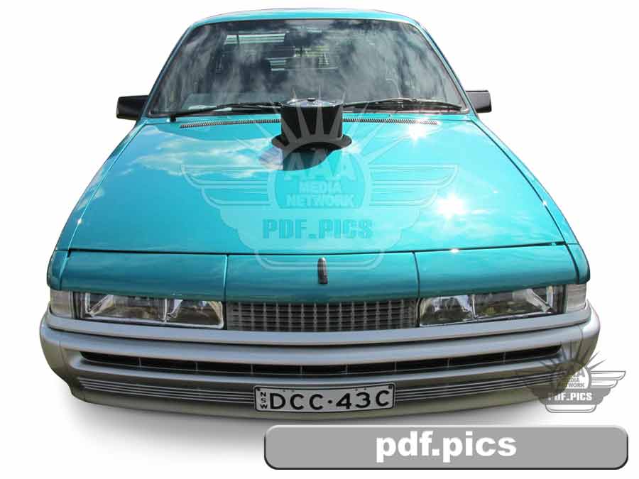VL Commodore Sedan Front View