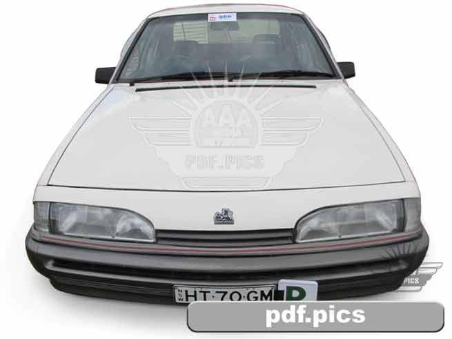 VL Commodore Sedan Front View
