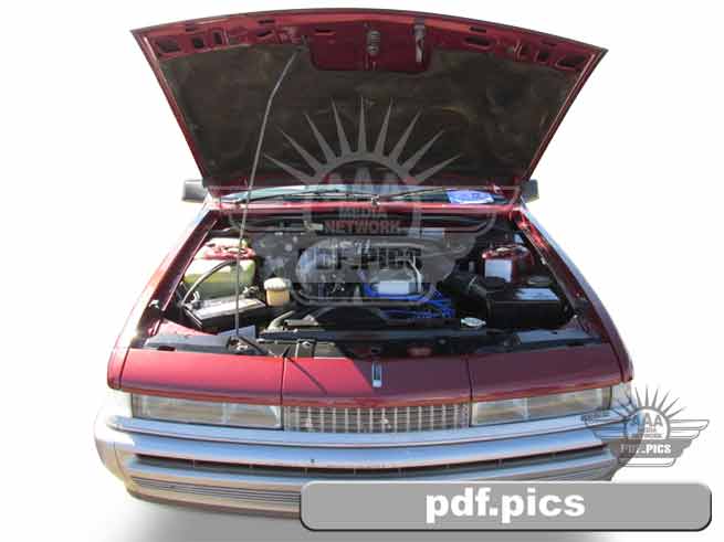 VL Commodore Sedan Front View