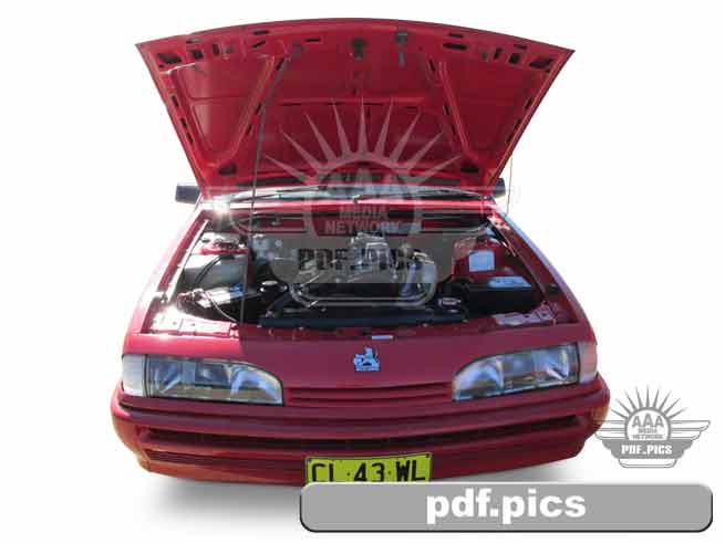 VL Commodore Station Wagon Front View