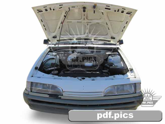 VL Commodore Sedan Front View