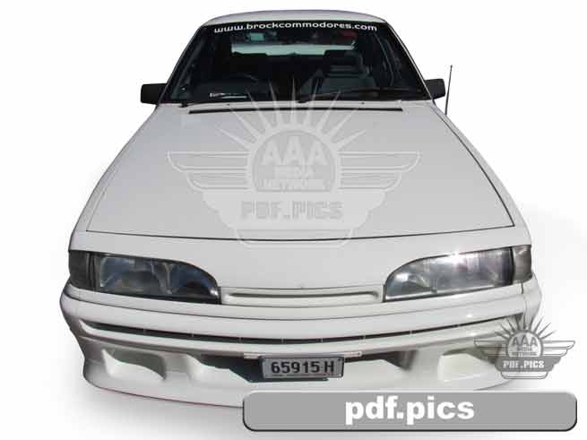 VL Commodore Sedan Front View